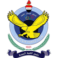 القوة الجوية